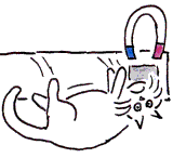 Dicke verfresene Katze