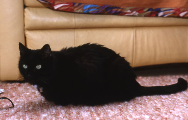 Foto von Kaya